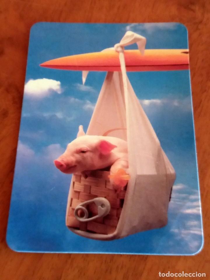 Sammeln von Kalendern: CALENDARIO DE BOLSILLO - ANIMALES - CERDOS - CON PUBLICIDAD (VER FOTO ADICIONAL) A&Ntilde;O 1996