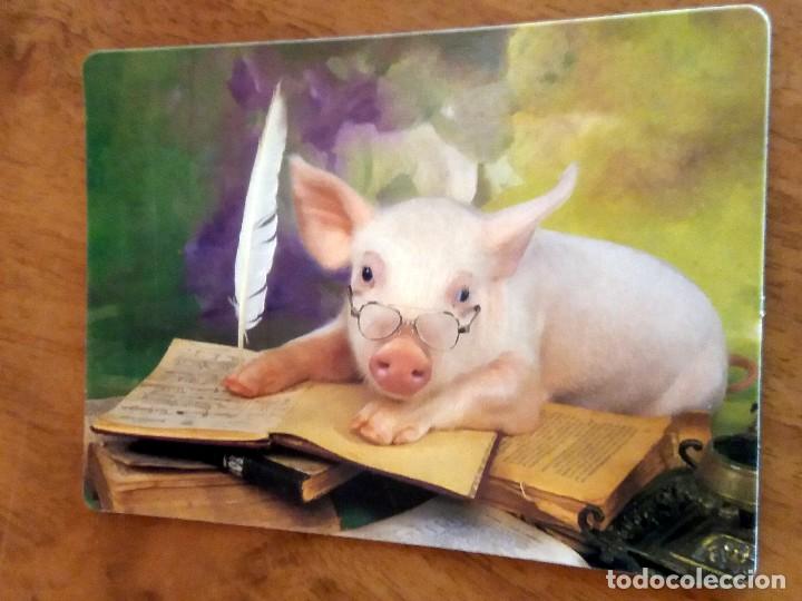 Sammeln von Kalendern: CALENDARIO DE BOLSILLO - ANIMALES - CERDOS - CON PUBLICIDAD (VER FOTO ADICIONAL) A&Ntilde;O 2005