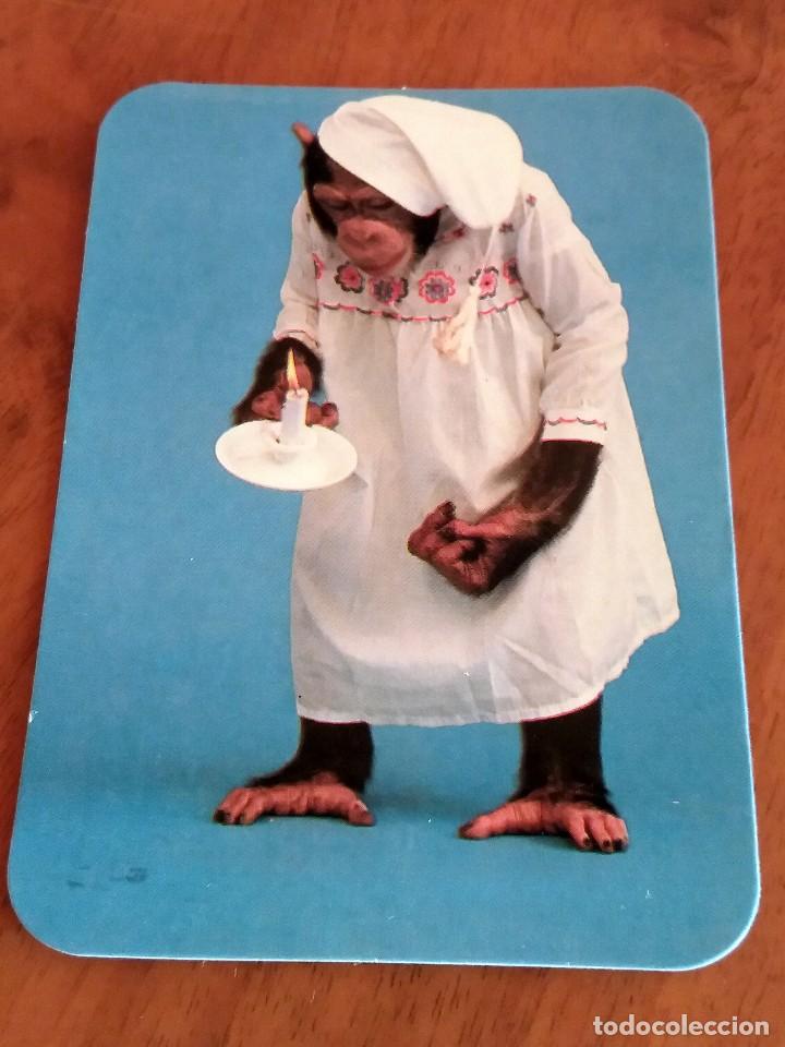 Collectionnisme Calendriers: CALENDARIO DE BOLSILLO - ANIMALES - MONOS - CON PUBLICIDAD (VER FOTO ADICIONAL) A&Ntilde;O 1988
