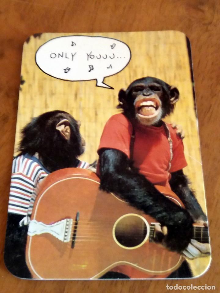 Collectionnisme Calendriers: CALENDARIO DE BOLSILLO - ANIMALES - MONOS - CON PUBLICIDAD (VER FOTO ADICIONAL) A&Ntilde;O 1992