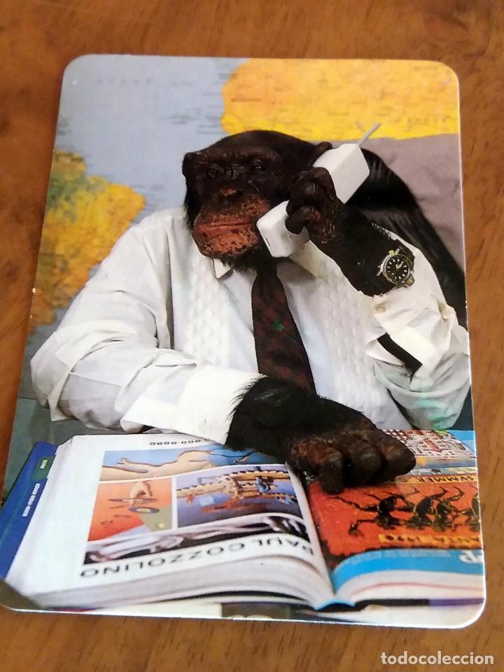 Collectionnisme Calendriers: CALENDARIO DE BOLSILLO - ANIMALES - MONOS - CON PUBLICIDAD (VER FOTO ADICIONAL) A&Ntilde;O 1997