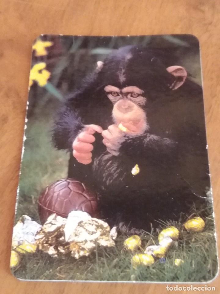 Collectionnisme Calendriers: CALENDARIO DE BOLSILLO - ANIMALES - MONOS - CON PUBLICIDAD (VER FOTO ADICIONAL) A&Ntilde;O 2000