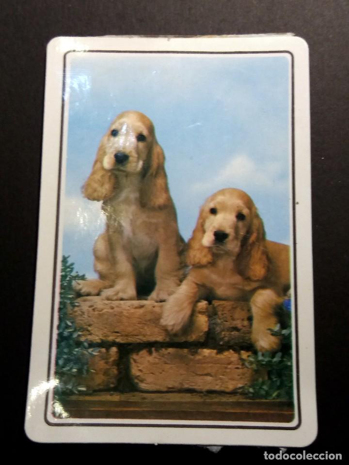 Collectionnisme Calendriers: CALENDARIO DE BOLSILLO - ANIMALES - CON PUBLICIDAD (VER FOTO ADICIONAL) BRASIL A&Ntilde;O 1978