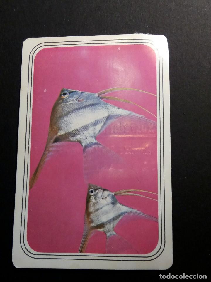 Collectionnisme Calendriers: CALENDARIO DE BOLSILLO - ANIMALES - CON PUBLICIDAD (VER FOTO ADICIONAL) BRASIL A&Ntilde;O 1978