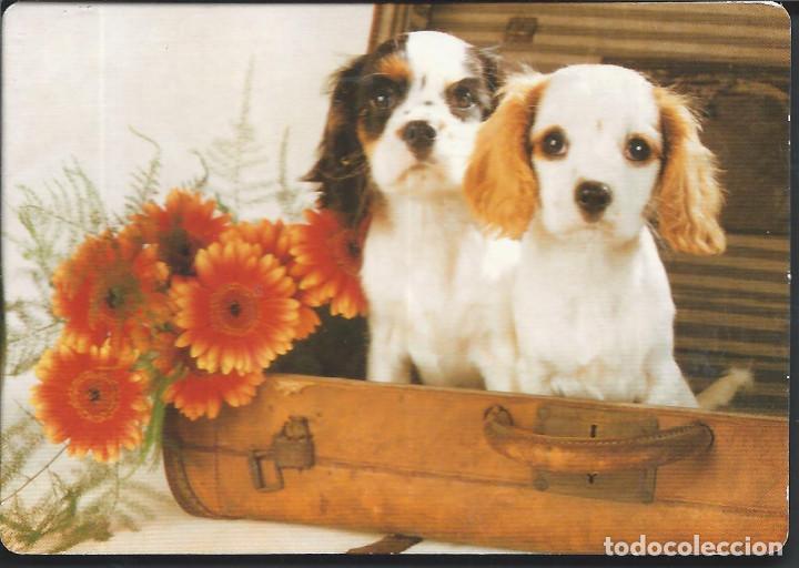 Coleccionismo Calendarios: 9283- CALENDARIO 2009 -PAREJA DE PERRITOS CON MALETA -CON PUBLICIDAD