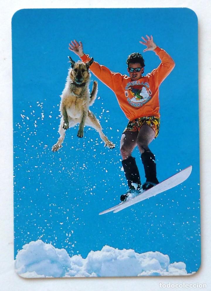 Coleccionismo calendarios: CALENDARIO DE BOLSILLO 1995. RR 97. DEPORTES. ESQUI. PERROS.