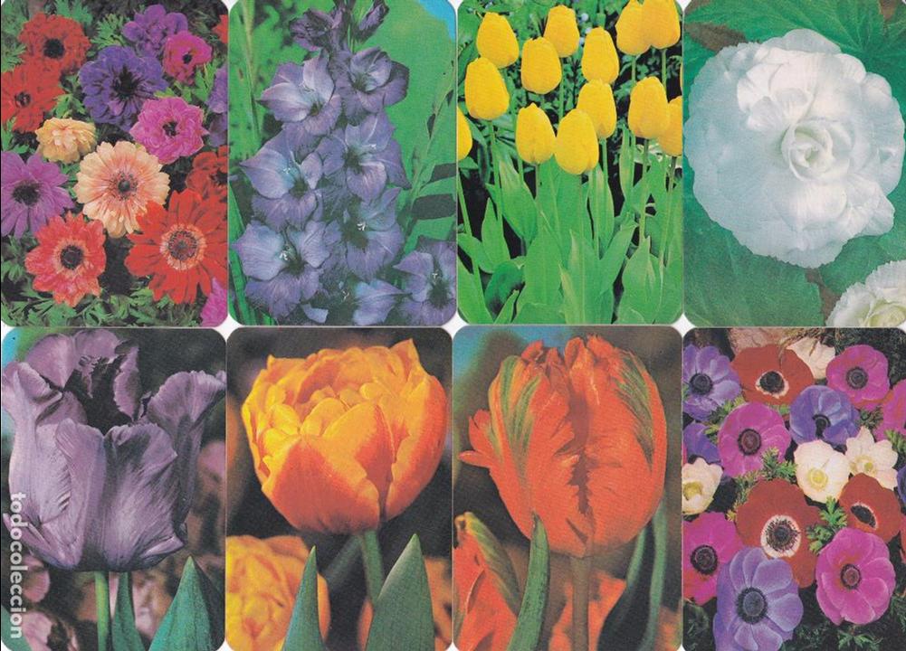 Coleccionismo Calendarios: 8 CALENDARIOS PORTUGAL 1985 - FLORES (NUMERADA)