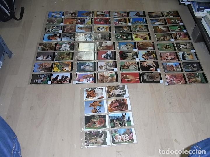 Collectables Calendars: Calendarios de fotos perros,162 calendarios