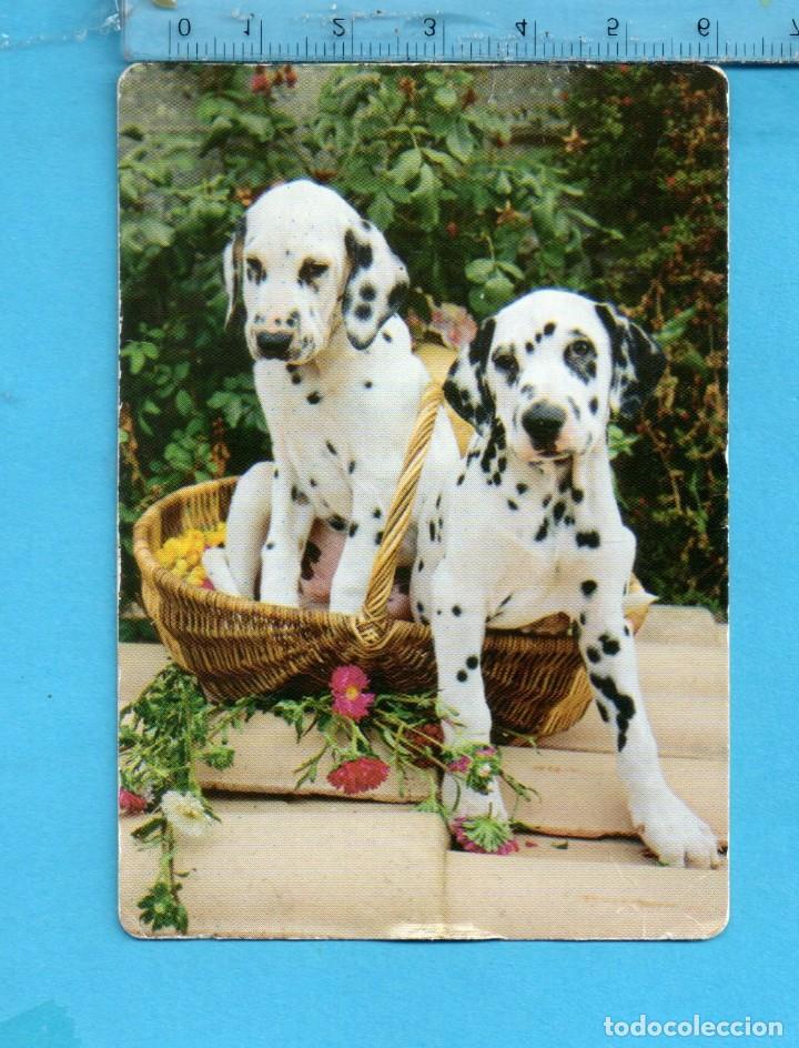 Collectables Calendars: calendario del a&ntilde;o 2002 el perros de casa w. c. b. n&ordm; 100 con publicidad de madrid