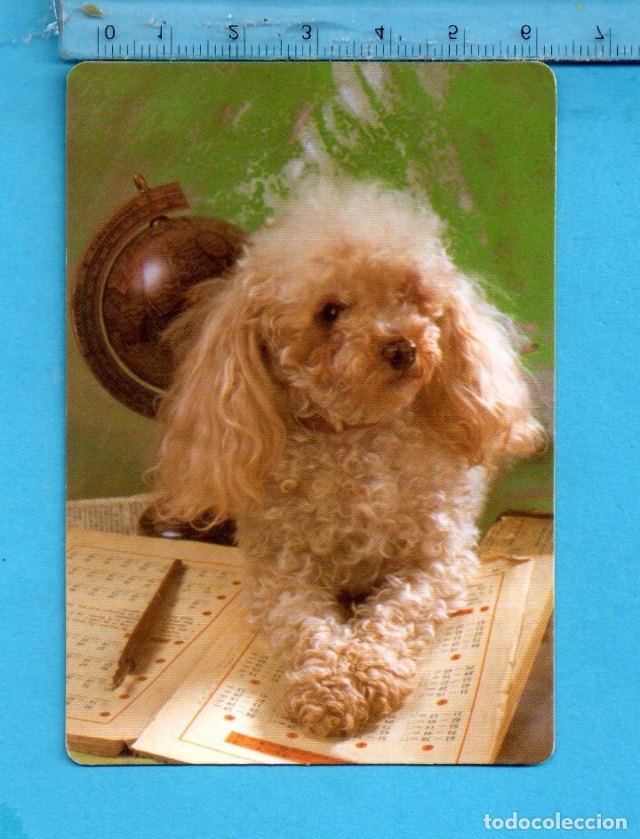 Collectables Calendars: calendario del a&ntilde;o 2004 el perros de casa c. b. n&ordm; 65 con publicidad de m&aacute;laga