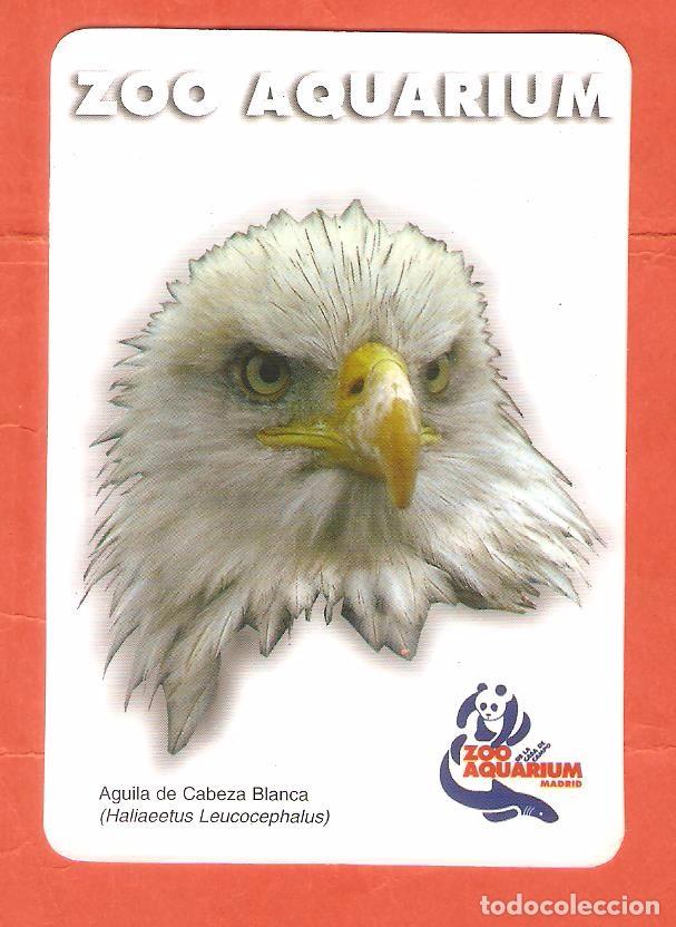 Coleccionismo Calendarios: CALENDARIO DE BOLSILLO A&Ntilde;O 1998 FAUNA - AVE: AGUILA - PUBLICIDAD: ZOO ACUARIUM - MADRID
