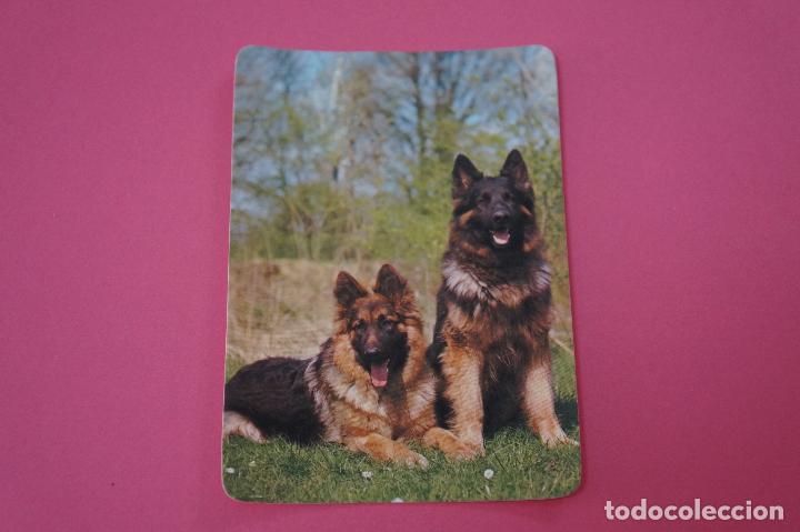 Sammeln von Kalendern: CALENDARIO DE BOLSILLO PERRITOS A&Ntilde;O 1986 LOTE 8 MIRAR FOTOS