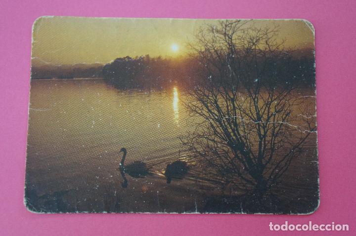 Sammeln von Kalendern: CALENDARIO DE BOLSILLO CON PUBLICIDAD PAISAJE A&Ntilde;O 1979 LOTE 8 MIRAR FOTOS