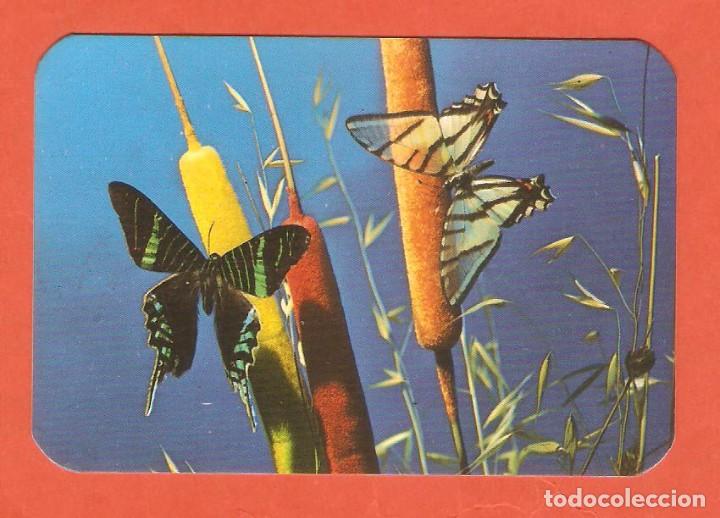 Coleccionismo Calendarios: CALENDARIO DE BOLSILLO DE SERIE A&Ntilde;O 1971 MARIPOSAS - VER FOTO DE REVERSO