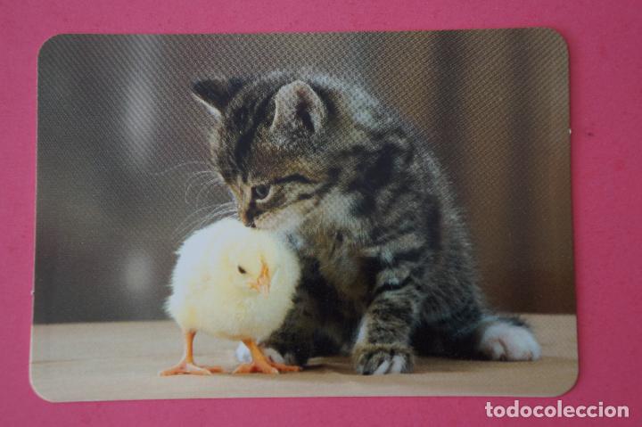 Collezionismo Calendari: CALENDARIO DE BOLSILLO:GATOS,A&Ntilde;O 2010,SIN PUBLICIDAD,LOTE 1