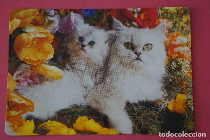 Collezionismo Calendari: CALENDARIO DE BOLSILLO:GATOS,A&Ntilde;O 2009,SIN PUBLICIDAD,LOTE 1