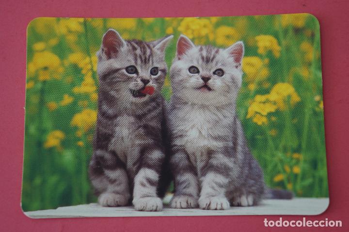 Collezionismo Calendari: CALENDARIO DE BOLSILLO:GATOS,A&Ntilde;O 2009,SIN PUBLICIDAD,LOTE 1