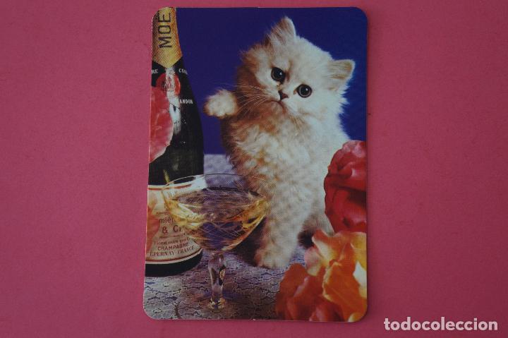 Collezionismo Calendari: CALENDARIO DE BOLSILLO:GATOS,A&Ntilde;O 2009,SIN PUBLICIDAD,LOTE 1