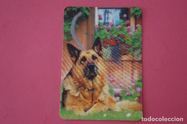 Sammeln von Kalendern: CALENDARIO DE BOLSILLO:PERROS,A&Ntilde;O 2009,SIN PUBLICIDAD,LOTE 1
