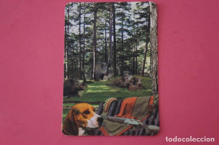 Sammeln von Kalendern: CALENDARIO DE BOLSILLO:PERROS,A&Ntilde;O 2009,SIN PUBLICIDAD,LOTE 1