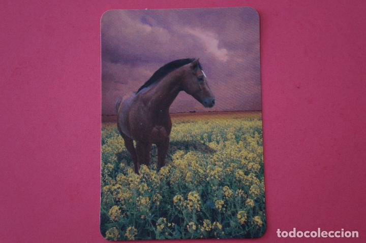 Collezionismo Calendari: CALENDARIO DE BOLSILLO:CABALLOS,A&Ntilde;O 2009,SIN PUBLICIDAD,LOTE 1
