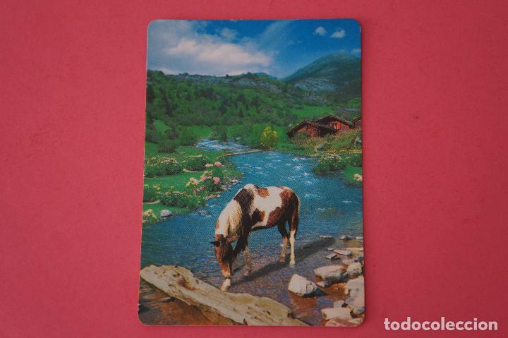 Collezionismo Calendari: CALENDARIO DE BOLSILLO:CABALLOS,A&Ntilde;O 2009,SIN PUBLICIDAD,LOTE 1