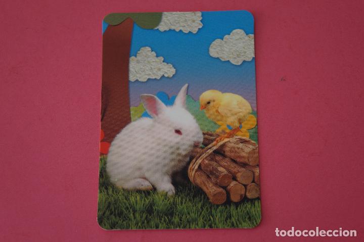 Collezionismo Calendari: CALENDARIO DE BOLSILLO:CONEJO,A&Ntilde;O 2009,SIN PUBLICIDAD,LOTE 1