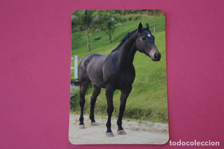 Collezionismo Calendari: CALENDARIO DE BOLSILLO:CABALLO,A&Ntilde;O 2008,SIN PUBLICIDAD,LOTE 1