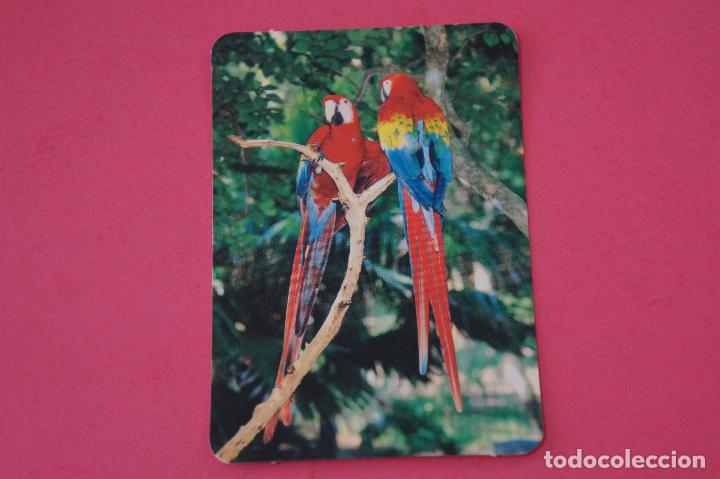 Collezionismo Calendari: CALENDARIO DE BOLSILLO:LOROS,A&Ntilde;O 2008,SIN PUBLICIDAD,LOTE 1