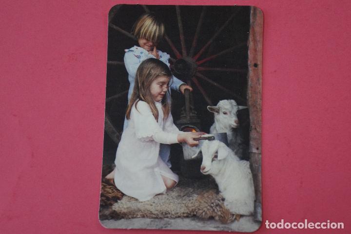 Sammeln von Kalendern: CALENDARIO DE BOLSILLO:NI&Ntilde;OS Y OVEJAS,A&Ntilde;O 2008,SIN PUBLICIDAD,LOTE 1