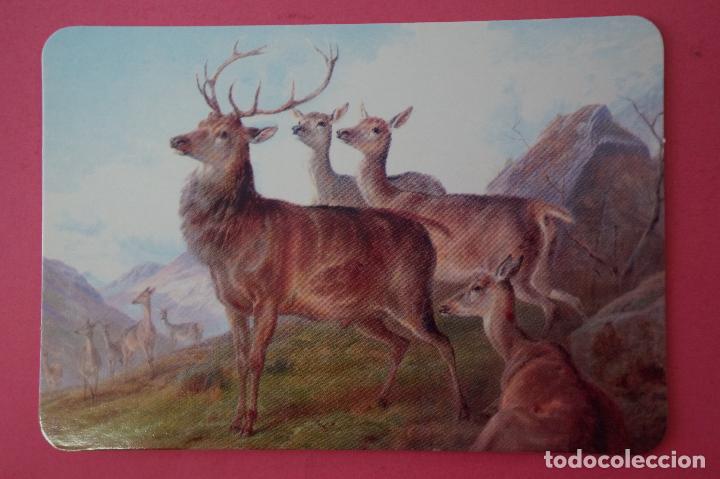 Sammeln von Kalendern: CALENDARIO DE BOLSILLO:CIERVOS,A&Ntilde;O 2012,SIN PUBLICIDAD,LOTE 1