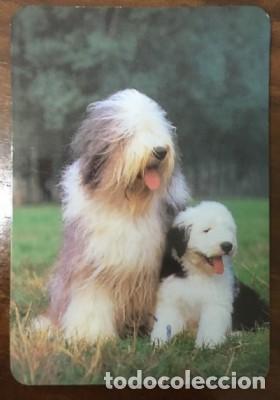 Colecionismo Calend&aacute;rios: CALENDARIO PERROS A&Ntilde;O 1996 CAL-8594