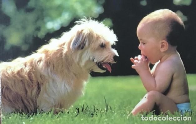 Colecionismo Calend&aacute;rios: CALENDARIO PERROS A&Ntilde;O 2000 CAL-8598