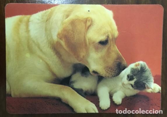 Coleccionismo calendarios: CALENDARIO PERROS A&Ntilde;O 1997 CAL-8635
