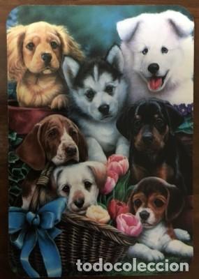 Coleccionismo calendarios: CALENDARIO PERROS A&Ntilde;O 2004 CAL-8636