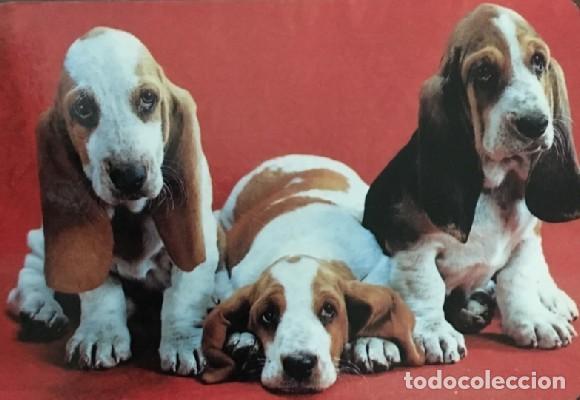 Coleccionismo calendarios: CALENDARIO PERROS A&Ntilde;O 1993 CAL-8640