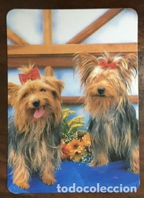 Coleccionismo calendarios: CALENDARIO PERROS A&Ntilde;O 1995 CAL-8647