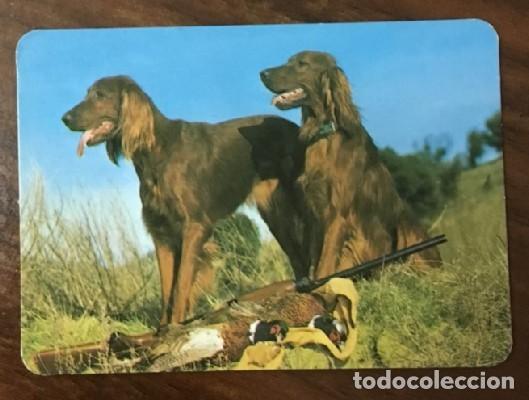 Coleccionismo calendarios: CALENDARIO PERROS A&Ntilde;O 1996 CAL-8670