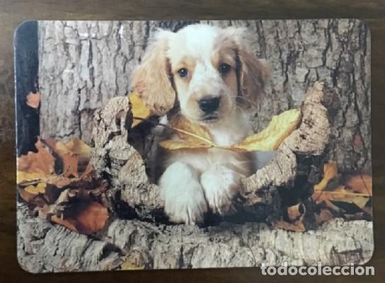 Coleccionismo calendarios: CALENDARIO PERROS A&Ntilde;O 1994 CAL-8673