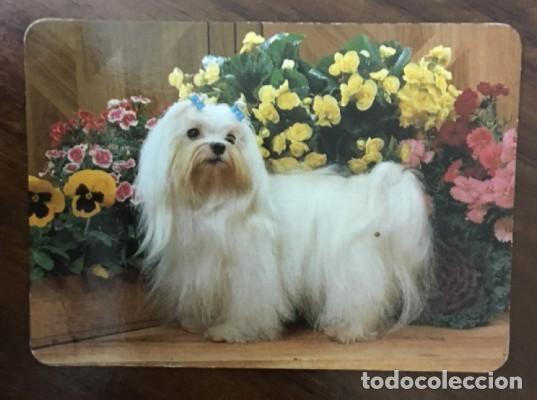 Coleccionismo calendarios: CALENDARIO PERROS A&Ntilde;O 1992 CAL-8675