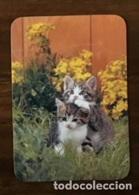 Coleccionismo calendarios: CALENDARIO GATOS, A&Ntilde;O 1993 CAL-8731