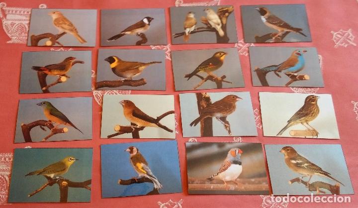 liquidaci-n-32-calendarios-2005-de-p-jaros-so-comprar-calendarios