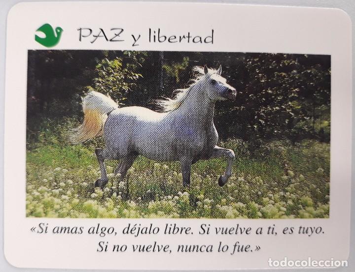 CALENDARIO SANT JOAN DE DEU 2000