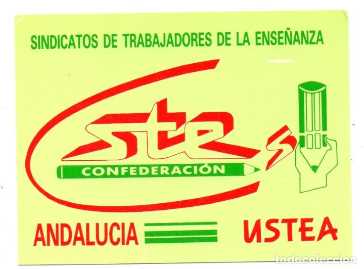 Collectionnisme Calendriers: Calendario de Publicidad 1991 -- S.T.E. - SINDICATO DE TRABAJADORES DE LA ENSE&Ntilde;ANZA