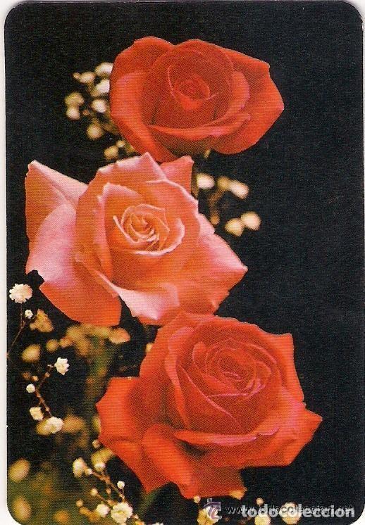 Coleccionismo Calendarios: -60731 CALENDARIO FLORES, A&Ntilde;O 1984, SERIE DLB DI, CON PUBLICIDAD DESTILERIAS, BODEGON