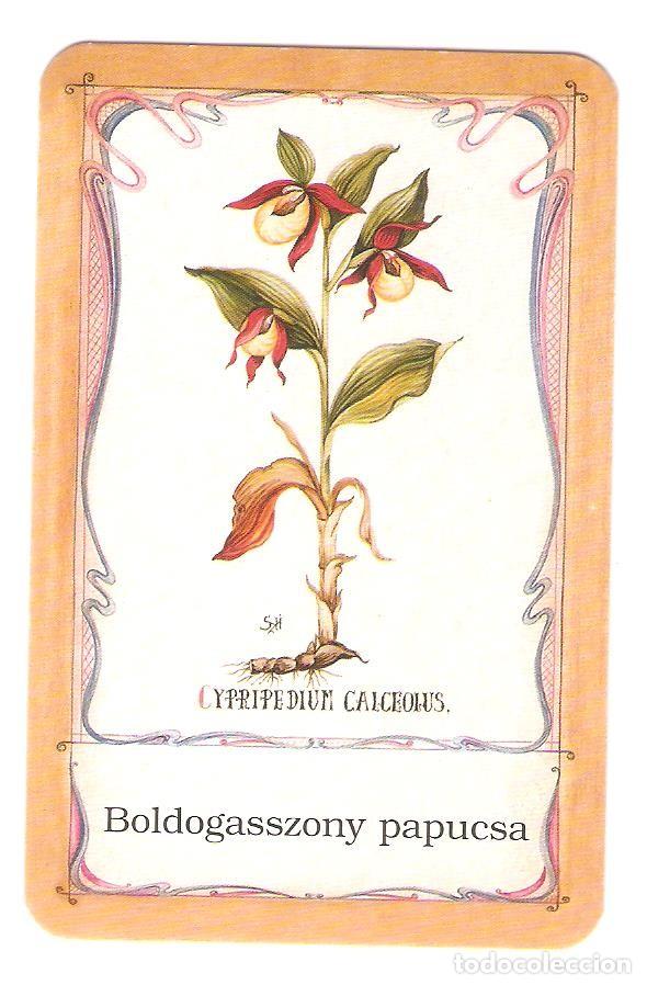 Coleccionismo calendarios: CALENDARIO DE BOLSILLO DE HUNGR&Iacute;A A&Ntilde;O 2007 FLORA / FLORES - ORQU&Iacute;DEA