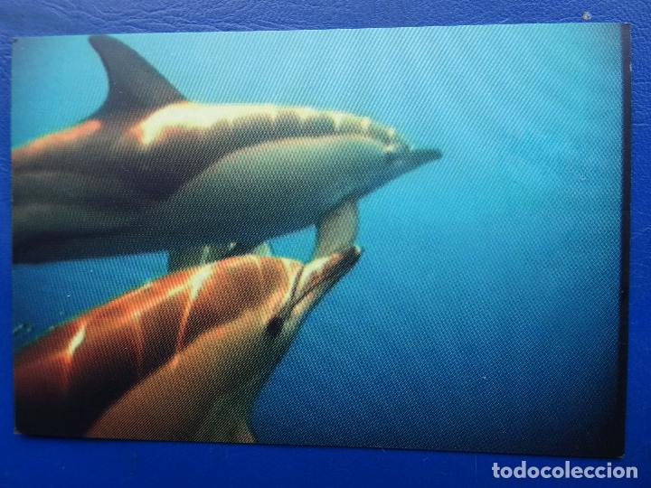 Coleccionismo Calendarios: CALENDARIO BOLSILLO ANIMAL 2010 (AMBAR CETACEOS.COM) BIEN