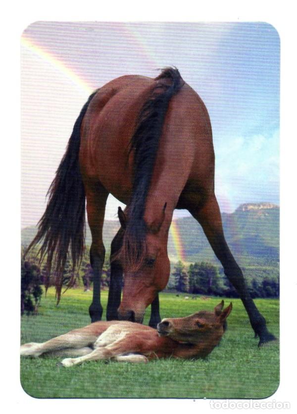 Collectables Calendars: Calendario de Serie 2011 - SERIE - L. 126