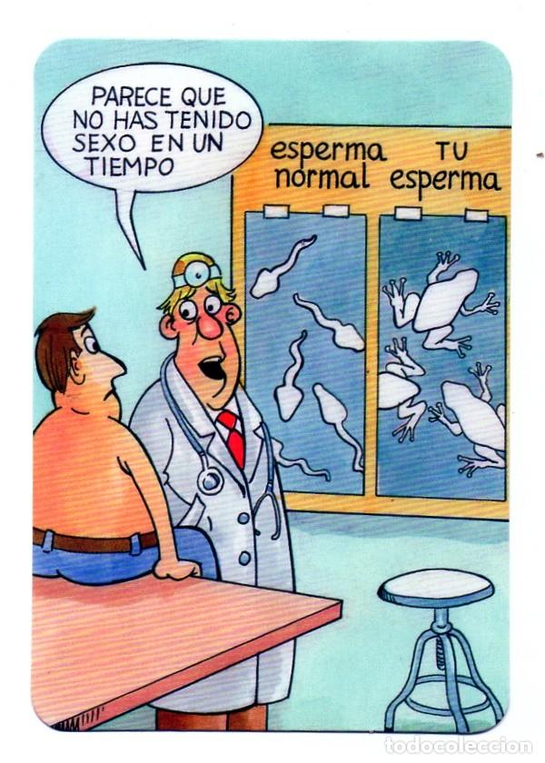 Coleccionismo Calendarios: Calendario de SERIE 2012 - SERIE L.- 209