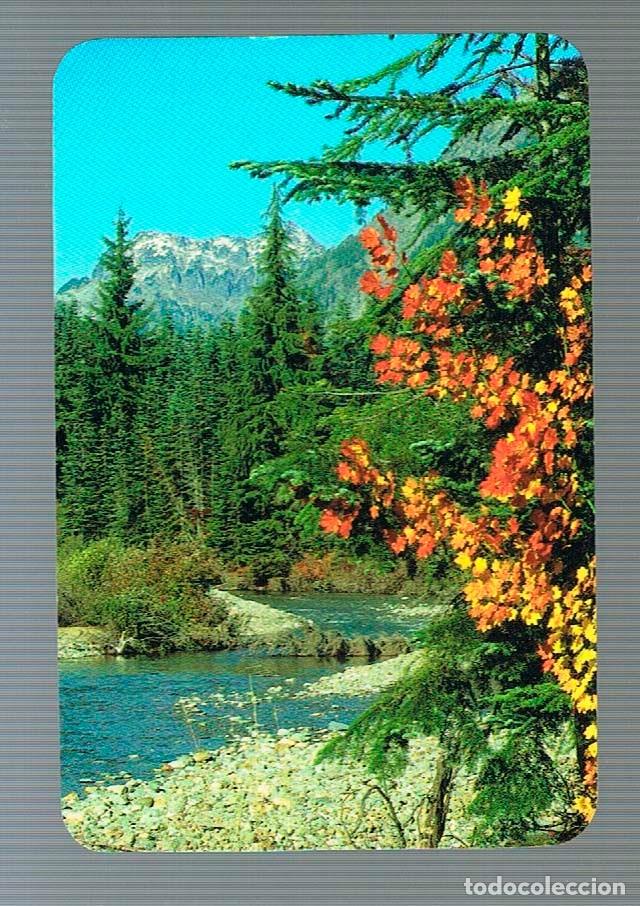 Coleccionismo calendarios: A&Ntilde;O 2005, PAISAJES Y MONUMENTOS - Foto 1